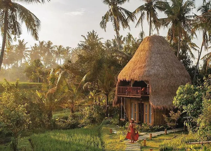 Dd Bamboo Lodge