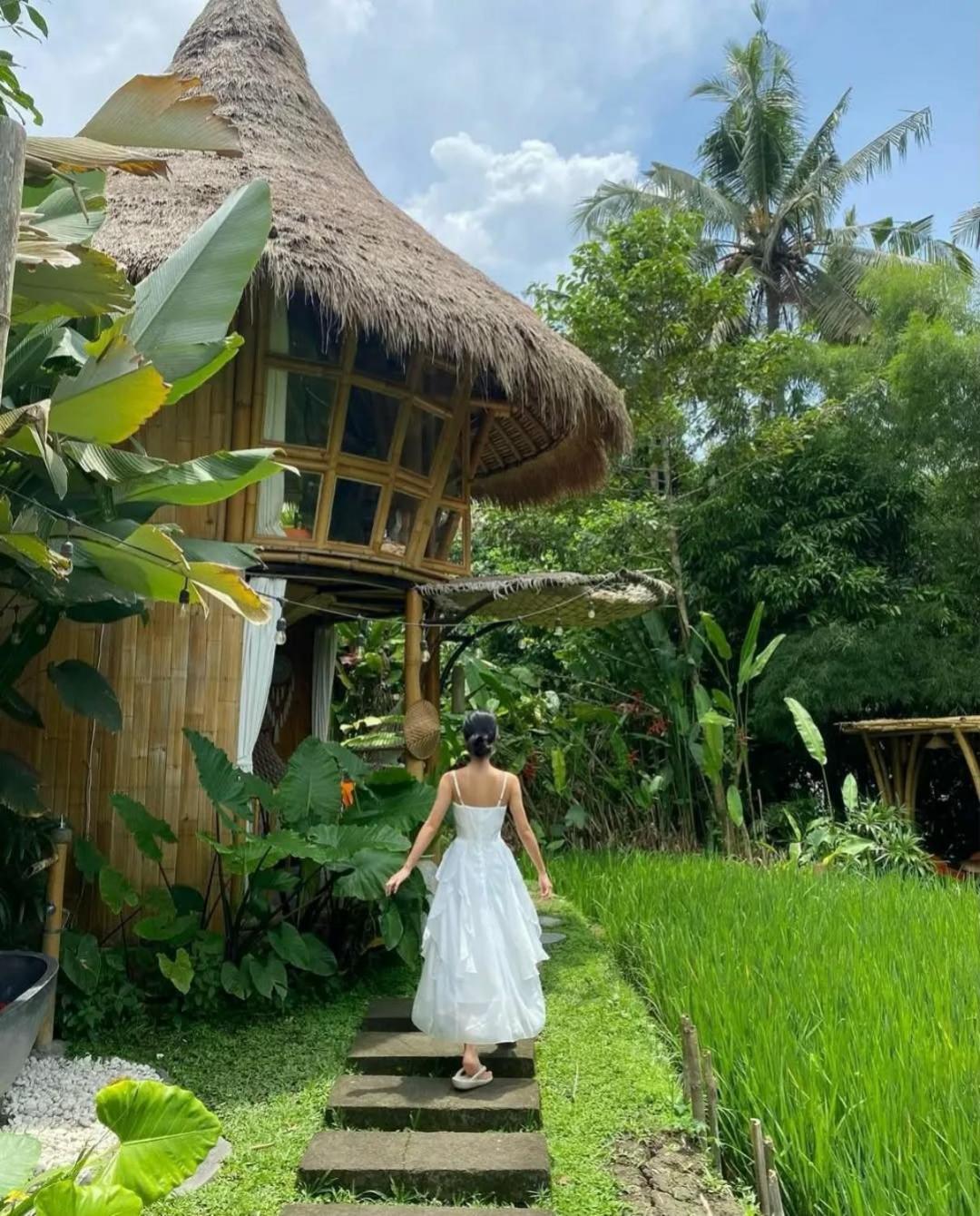 Villa Dd Bamboo Payangan